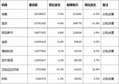 2019上半年印度机场客运量数据与发展简述-阿曼的空运