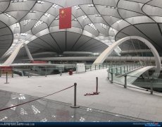 国台办：台湾地区航空公司可自由选择是否使用大兴机场-海运价格