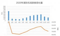 2020浦东机场预亏超12亿 免税租金大幅减少70%（附图）








