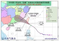 黄色预警！台风“白鹿”逼近我国东南沿海-香港国际快递