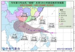 快讯！第12号台风“杨柳”正式生成周末或登陆海南-国际物流查询